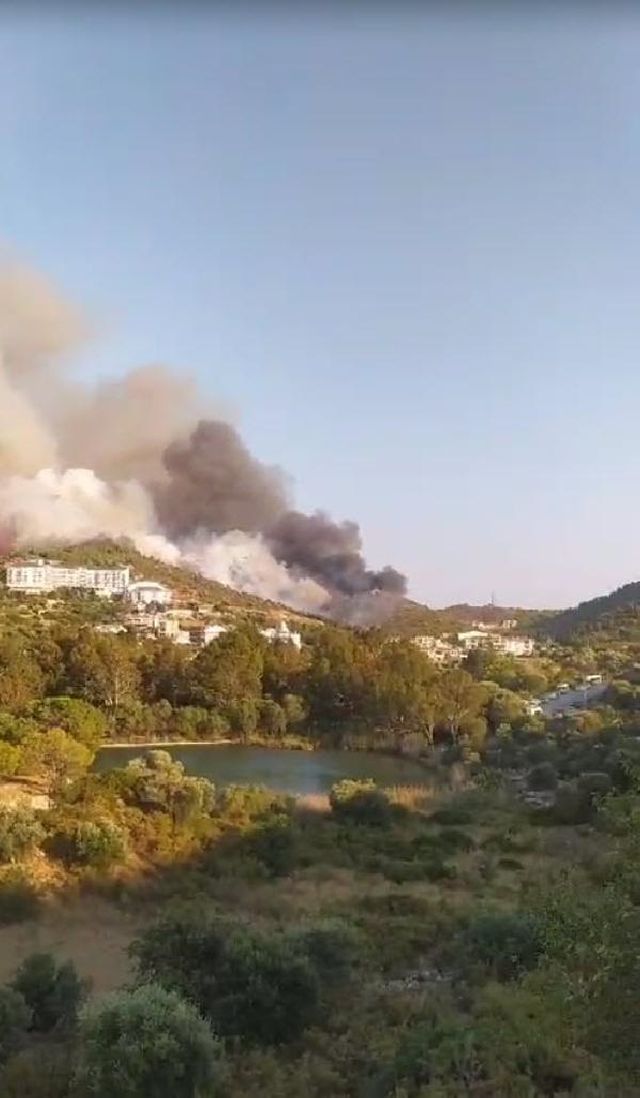 Muğla'nın Datça ilçesinde ormanlık alanda yangın