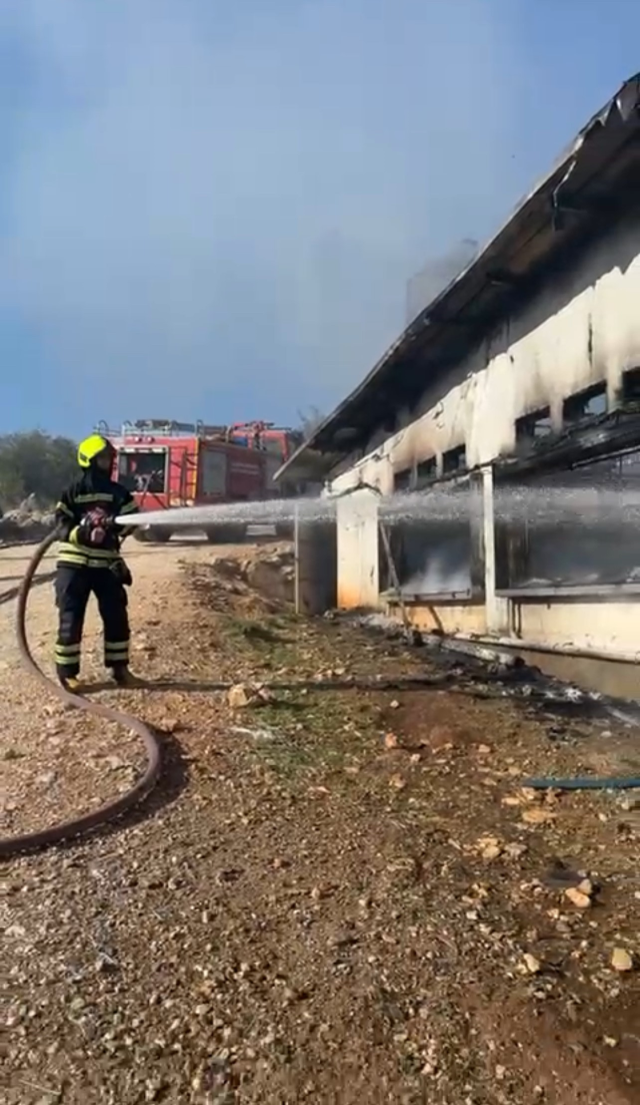Tarsus'taki Tavuk Çiftliğinde Yangın: 33 Bin Civciv Telef Oldu