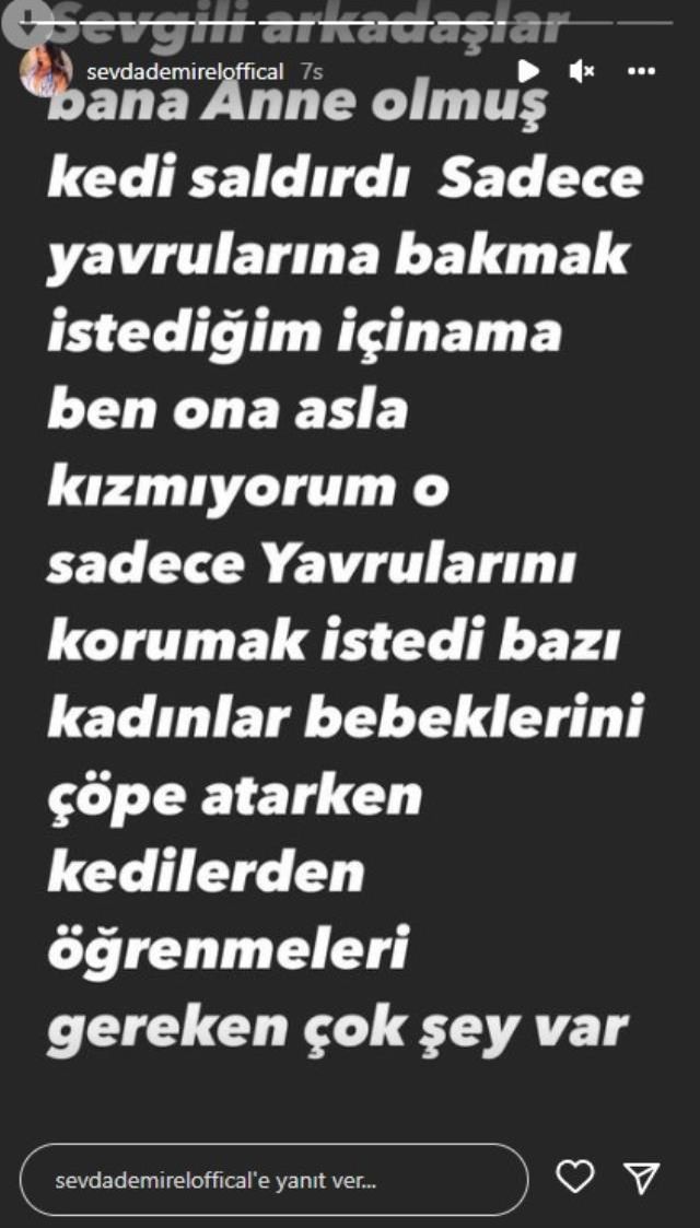 Anne kedinin saldırdığı Sevda Demirel'in damarları patladı