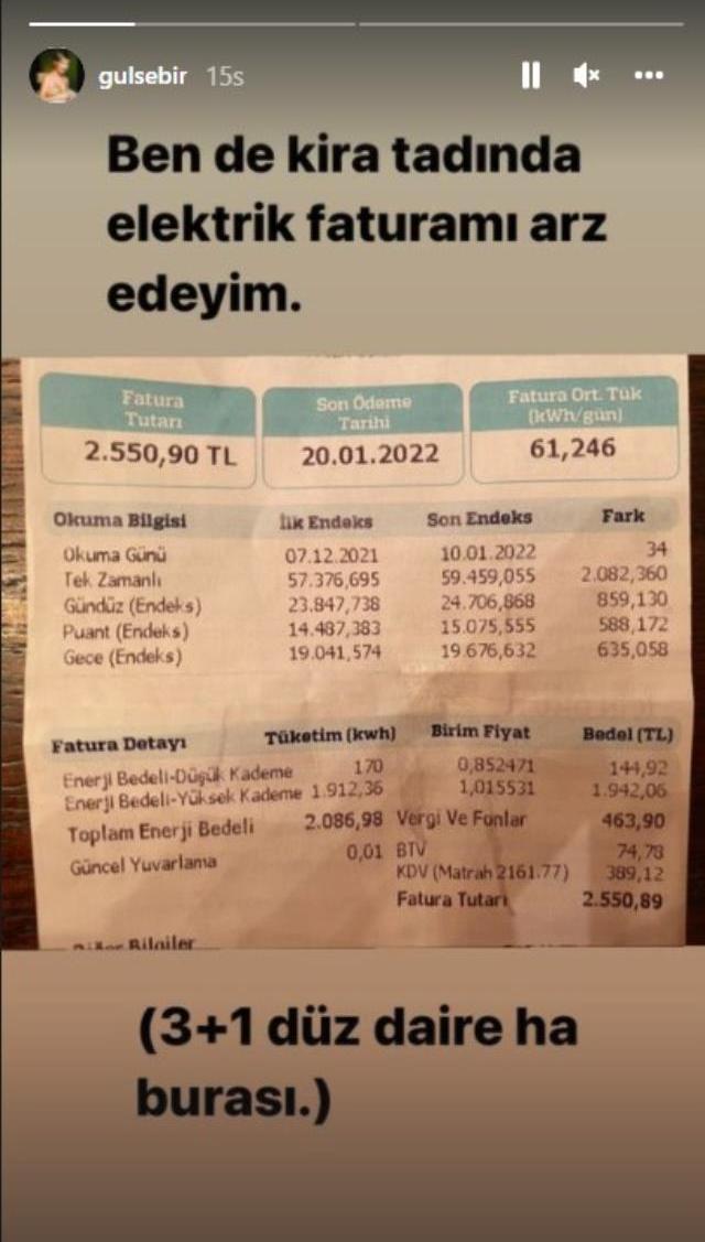 Oyuncu Gülse Birsel, gelen elektrik faturasına isyan etti: Kira tadında