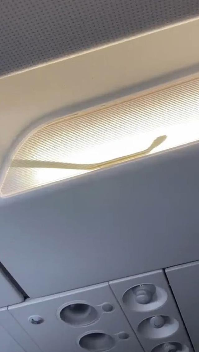 Havada büyük panik! Aniden belirlen yılan, uçağa acil iniş yaptırdı