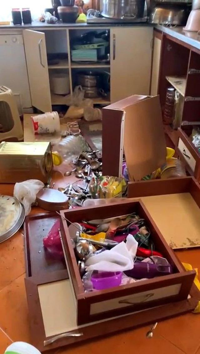 Aç kalan ayılar yayladaki işletmenin altını üstüne getirdi