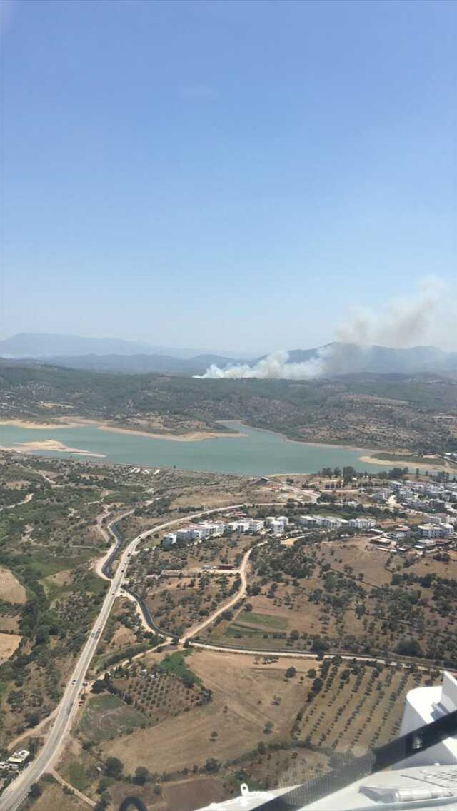 Muğla'nın Milas ilçesinde orman yangını çıktı