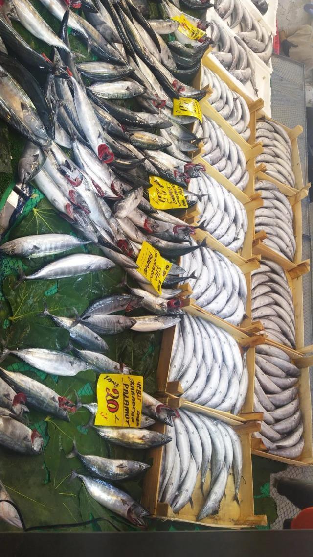 Mevsimlerden Palamut! Tanesi 20 TL