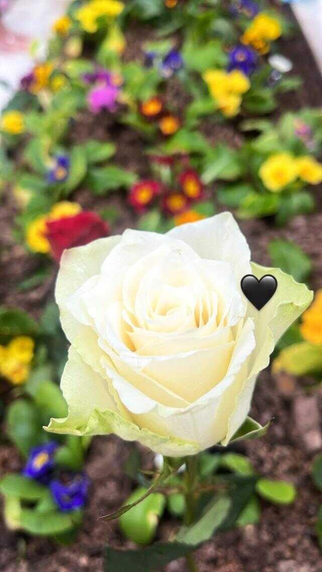 Elif Karlı, cezaevinde ölen eşinin toprağı kurumamış mezarını paylaştı: Aldılar benden