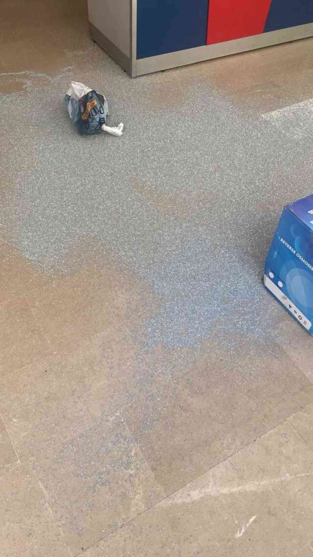 Kedi kumu paketi delik çıkınca deliye döndü! Kargo şirketini basıp çalışanlara saldırdı