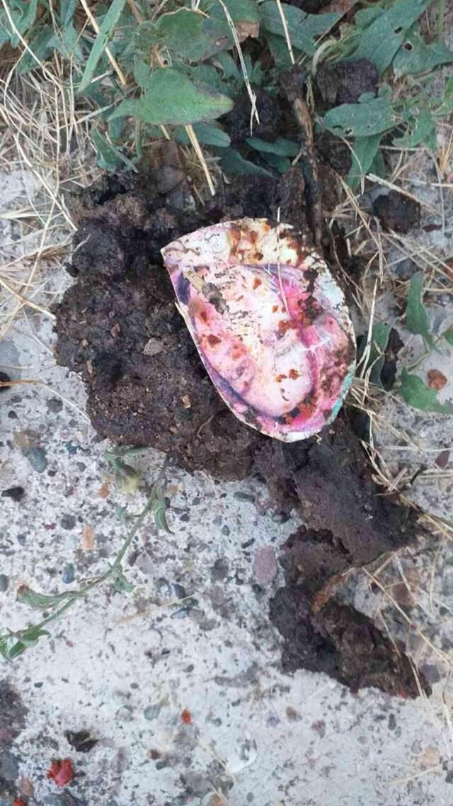 Akıllara durgunluk veren olay! Kiracısını evden çıkarmak için 'büyü' yaptı