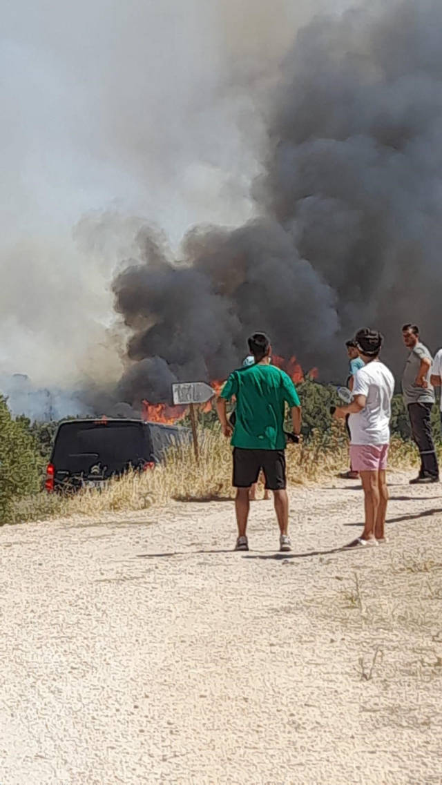 Çeşme ve Urla'da yangın! Bazı mahalleler tahliye edildi
