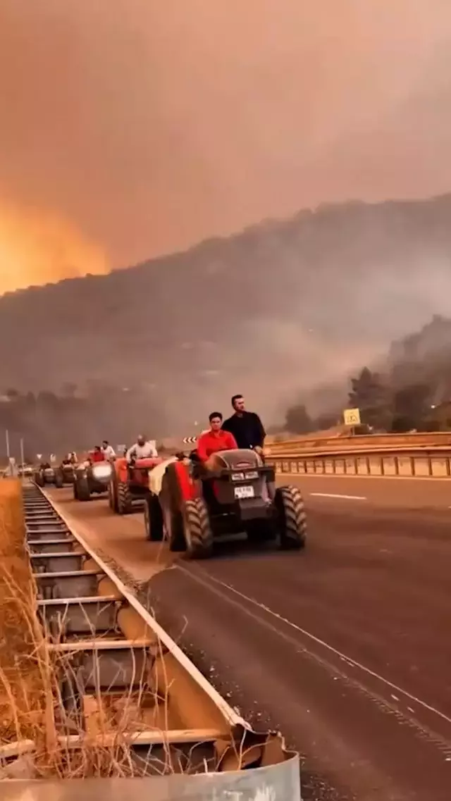Sakarya'dan Bilecik tarafına sıçrayan orman yangınına 4. gününde müdahale devam ediyor