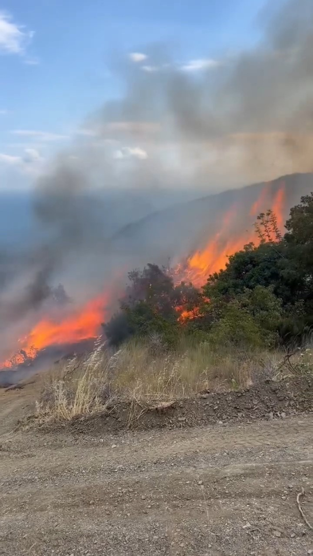 Sabah söndürülen yangın öğleden sonra yeniden başladı, vatandaşlar da müdahaleye katıldı