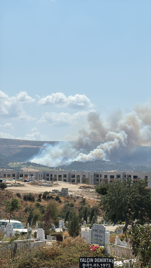 Çanakkale'de Orman Yangını