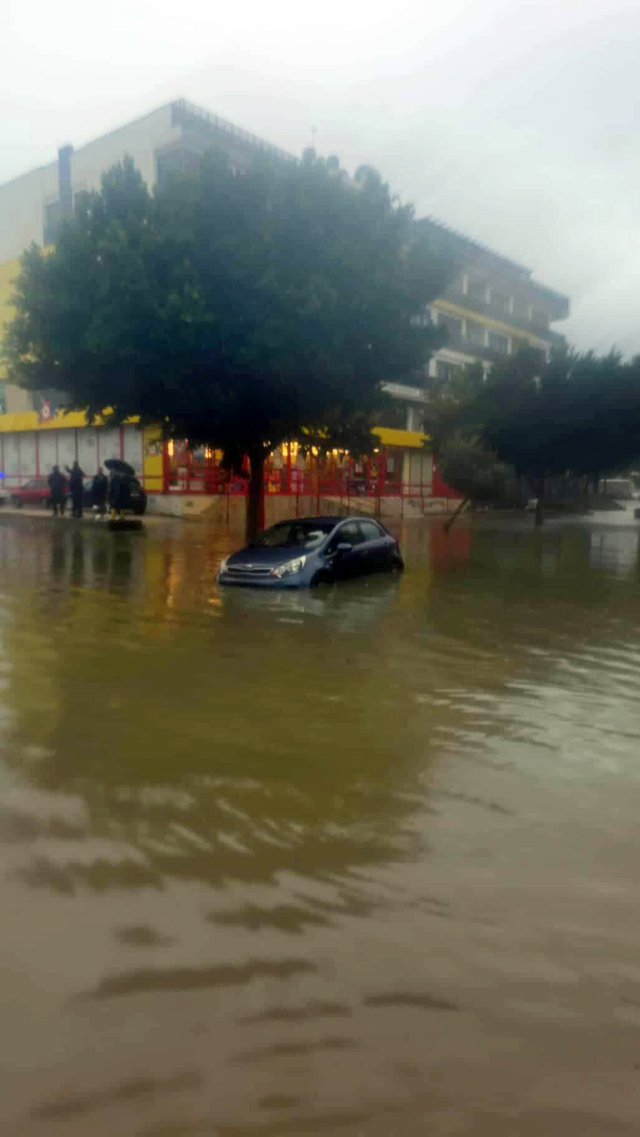 Kenti sel aldı, dünyaca ünlü sahilde kıyıya dana vurdu