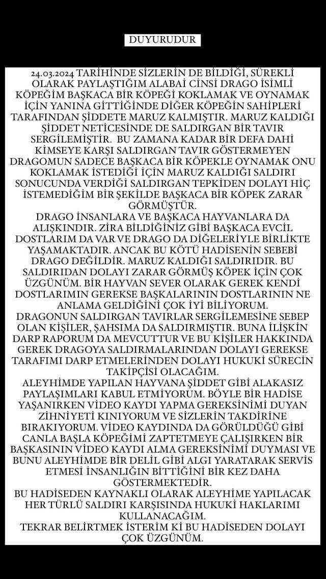 Köpeği, başka bir köpeği öldüren Banu Parlak'tan açıklama: Oyun oynamak için yanına gitti