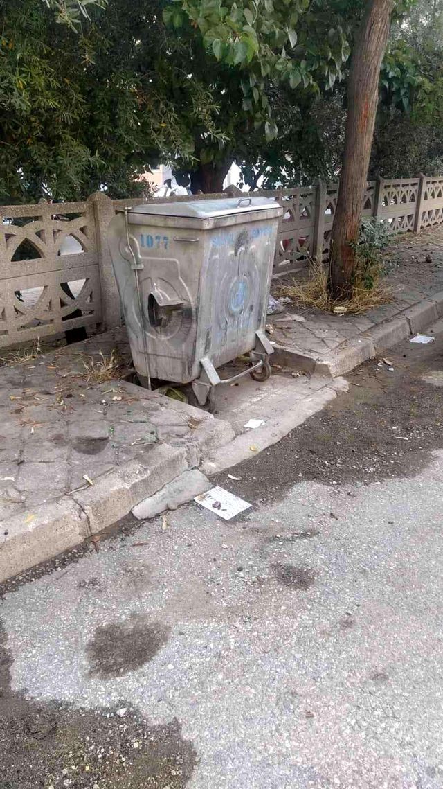 Doğurur doğurmaz çöpe götürmüş! Bebeğin cansız bedenini kağıt toplayıcıları buldu