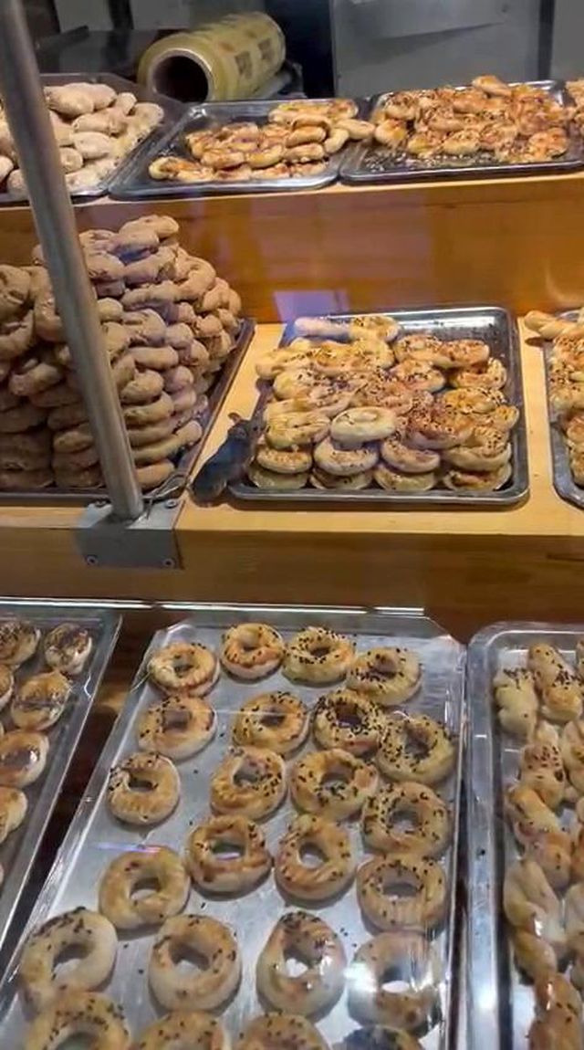 Ünlü market zincirinde skandal görüntüler! Kocaman fare dolabın içerisine sızıp kurabiyelerin tadına baktı
