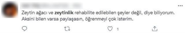 Resmi Gazete'de yayımlanan karar tepkilere neden oldu! Zeytinlikler kesilerek maden sahasına çevirilebilecek