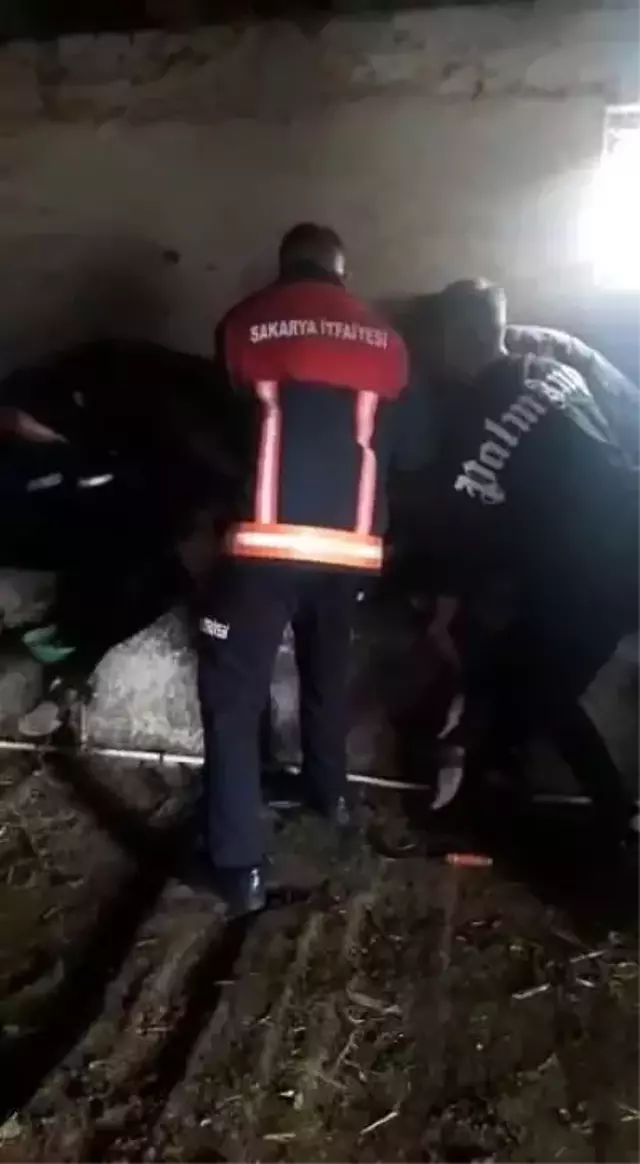 Ahırdan gelen acı seslere koşan çiftçi, gördüğü manzara sonrası hemen yetkilileri aradı