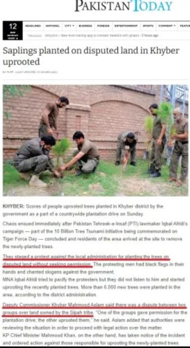 Pakistan'da insanların 'İslam'a aykırı' diyerek yeni dikilen ağaçları söktüğü iddiası