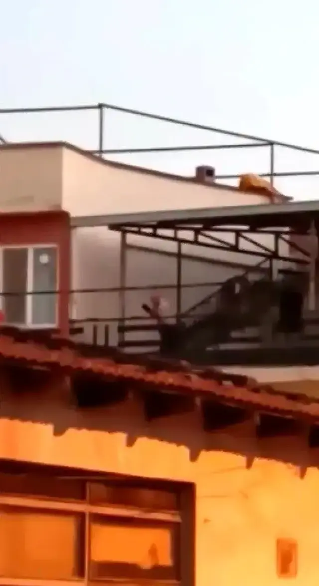 Ev sahibiyle kavga eden kiracı, zili çalıp içeri girmek isteyen polisi vurduktan sonra intihar etti