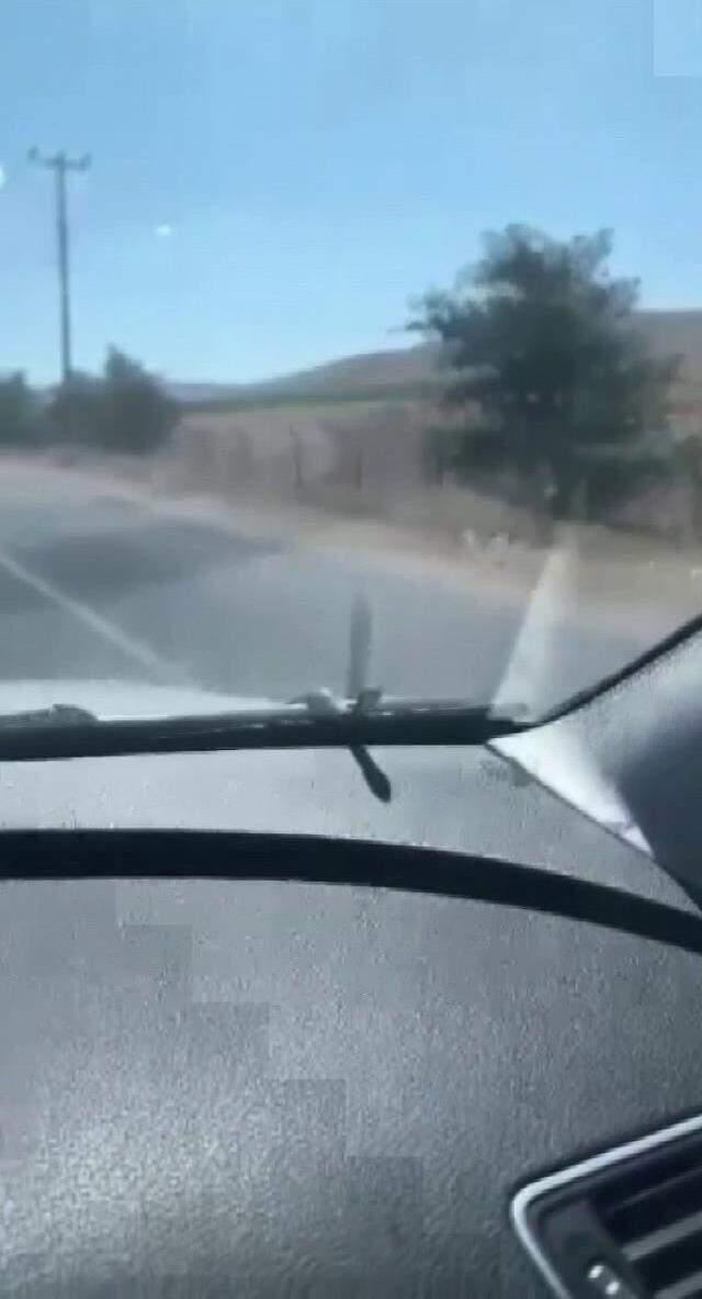 Muş'ta arabaya atlayan yılan İstanbul'a kadar aileyle birlikte yolculuk yaptı