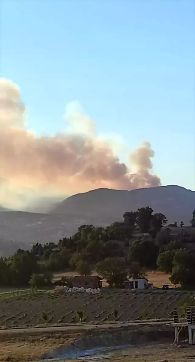 Son dakika haberi... Kütahya'da Emet'te orman yangını... Ekipler yangına müdahale ediyor