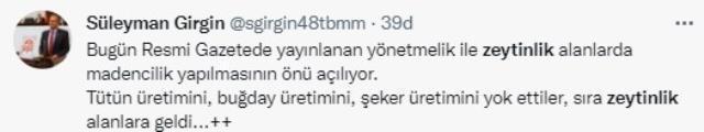 Resmi Gazete'de yayımlanan karar tepkilere neden oldu! Zeytinlikler kesilerek maden sahasına çevirilebilecek