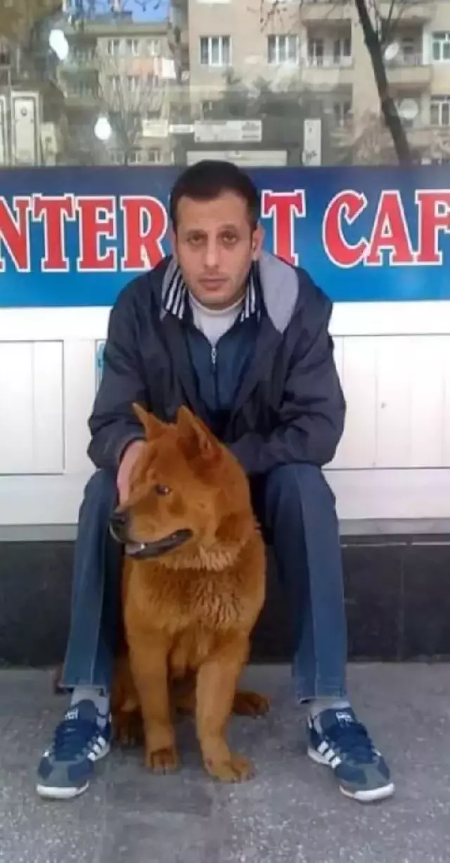 Diyarbakır'da 'Çocuğa taciz' iddiasıyla bıçaklanıp sokakta gezdirilmişti! Aslında tacizi engellemek istemiş