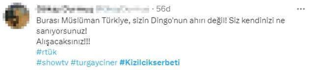 Kızılcık Şerbeti dizisindeki 'İçki' sahnesi izleyicilerin tepkisini çekti
