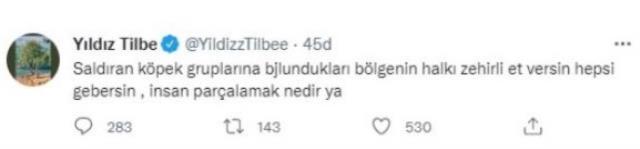 Bülent Ersoy, 'Saldırgan köpeklere zehirli et verin' dediği için tepki çeken Yıldız Tilbe'ye sahip çıktı