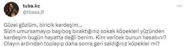 Muğla'da başıboş köpeklerin saldırısından kaçan 17 yaşındaki genç, trafik kazasında can verdi