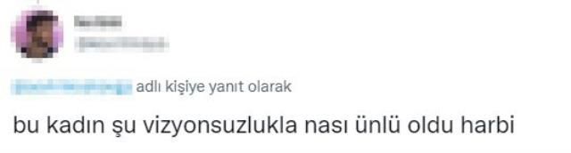 Zam paylaşımıyla gündem olan Demet Akalın kendisine 'Vizyonsuz' diyen kişiye öfke kustu