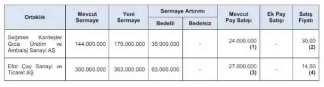 SPK, Seğmen Kardeşler Gıda ve Efor Çay'ın halka arzına onay verdi