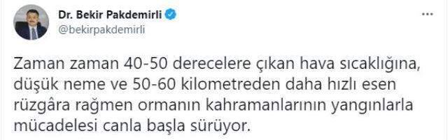 Yangınlardaki son durumu Bakan Bekir Pakdemirli paylaştı! 4 ilde alevlerle mücadele devam ediyor
