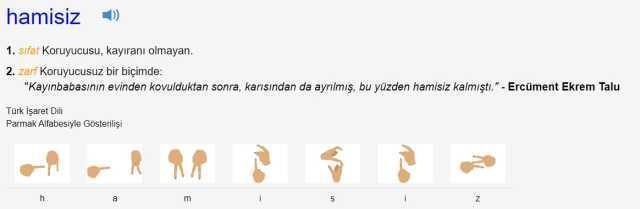 Hamisi ne demek? TDK Hamisi kelimesi anlamı ne? Hamisi nedir?
