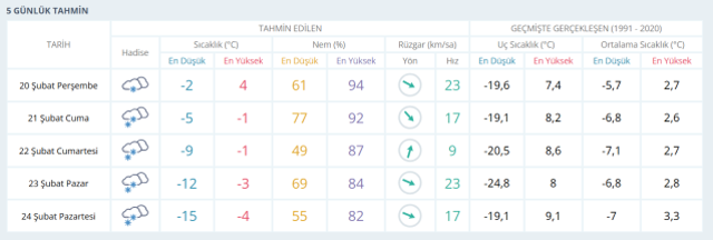 VAN HAVA DURUMU 20 ŞUBAT: Van hava durumu nasıl? Van 5 günlük hava durumu tahmini!
