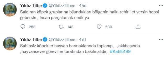 Yıldız Tilbe'den tepki çekecek çıkış: Saldırgan köpeklere zehirli et verin, gebersinler
