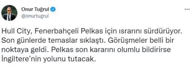 Acun Ilıcalı'nın takımı Hull City, Fenerbahçe'den Pelkas'ı renklerine bağlıyor