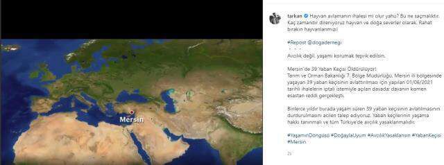 Tarkan'dan av ihalesine tepki: Hayvanlarımızı rahat bırakın!