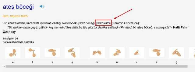 Hangisi ateş böceğinin diğer adıdır?... Kim Milyoner Olmak İster 15 Ağustos Sorusu Cevabı Nedir? 100 Bin TL'lik soru ve cevabı ne?