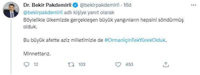 Son Dakika: Türkiye'de 28 Temmuz itibarıyla başlayan büyük orman yangınlarının tümü kontrol altına alındı