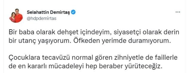Ne diyeceği merak konusuydu! Demirtaş'tan 6 yaşında evlendirildiği iddia edilen kız hakkında ilk yorum: Öfkeden yerimde duramıyorum