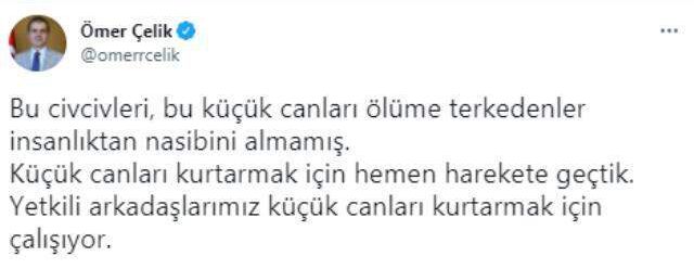 Seyhan Baraj Gölü'nde yüzlerce civciv ölüme terk edildi