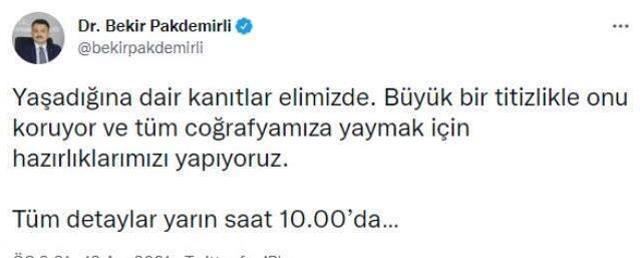 Bakan Pakdemirli, merak uyandıran paylaşımlarının detaylarını yarın açıklayacak