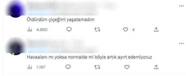 Sosyal medyayı sallayan fotoğraf! Etikette yazan fiyata kimse inanamadı: Bu simidi sadece Hülya Avşar yiyebilir