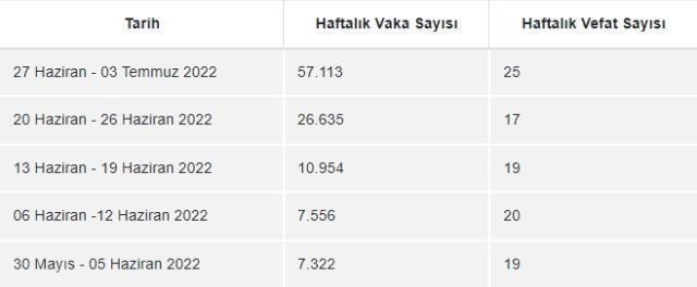 Güncel Korona Vaka Sayısı! KORONAVİRÜS TABLOSU! Covid 19 günlük vaka sayısı kaç oldu?