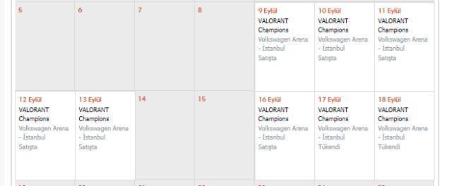 Valorant Champions İstanbul final biletleri dakikalar içerisinde tükendi