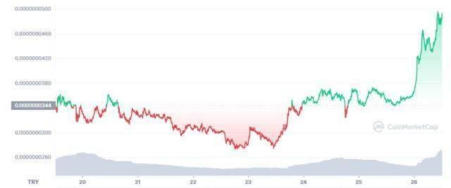 Kishu Coin (KISHU) nedir, nasıl alınır? Kishu Inu güncel yorum ve grafiği! Kishu Inu ne kadar, kaç TL? Kishu Inu fiyat ve geleceği hakkında bilgiler!