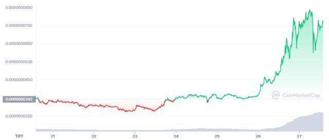 Kishu Coin (KISHU) nedir, nasıl alınır? Kishu Inu güncel yorum ve grafiği! Kishu Inu ne kadar, kaç TL? Kishu Inu fiyat ve geleceği hakkında bilgiler!
