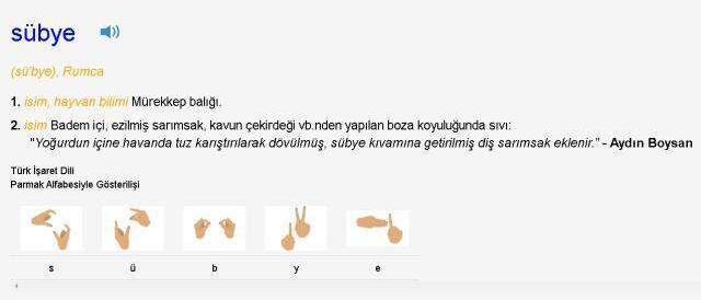 Sübye ne demek? TDK'ya göre Sübye nedir, ne demektir? Sübye ne anlama geliyor?