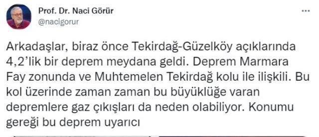 Marmara'daki depremin ardından Prof. Dr. Naci Görür'den endişelendiren sözler: Konumu gereği bu deprem uyarıcı